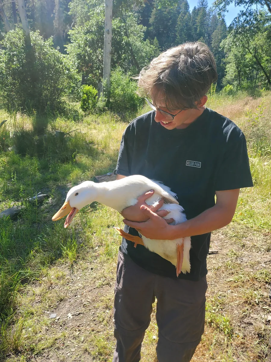Simon Seidler holding a duck on the farm