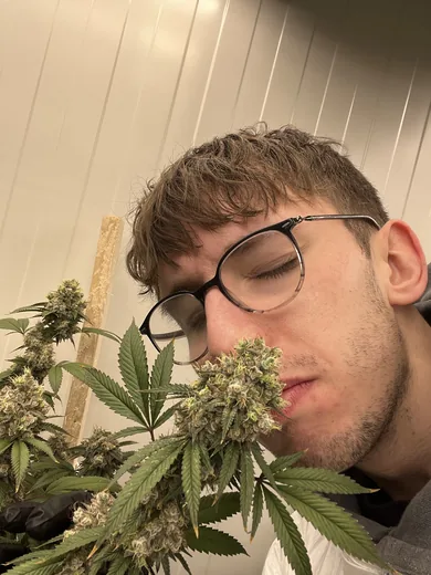Photo 1 of Cannabis Social Club CAGH1 e.V.