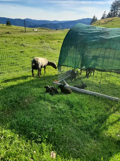 Photo 5 of Happy Day Farms