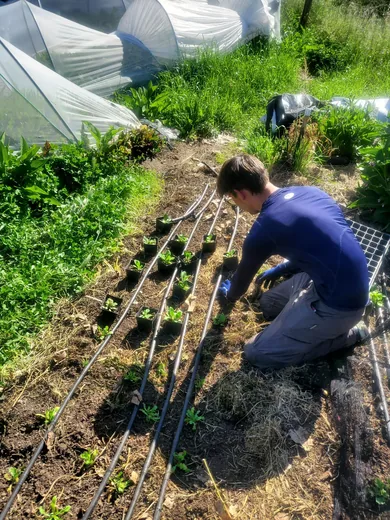 Photo 6 of Happy Day Farms