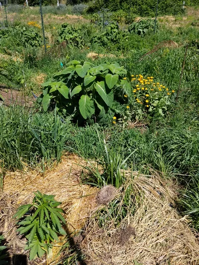 Photo 2 of Heartrock Mountain Farm
