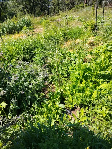 Photo 3 of Heartrock Mountain Farm