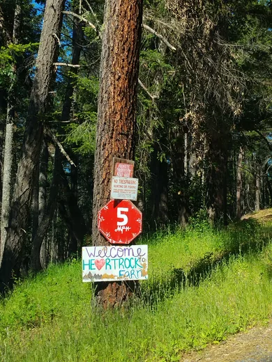 Photo 5 of Heartrock Mountain Farm