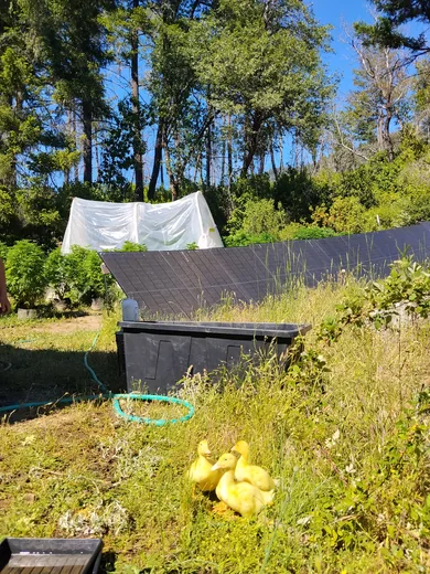 Photo 3 of Off Grid Farm