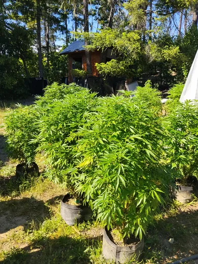 Photo 4 of Off Grid Farm