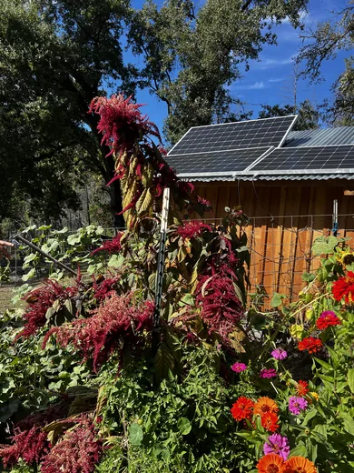 Photo 5 of Off Grid Farm
