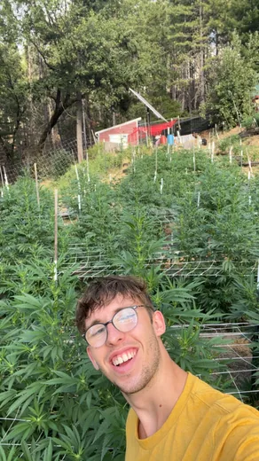 Photo 1 of Sunrise Gardens