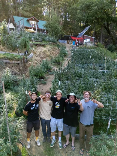 Photo 17 of Sunrise Gardens